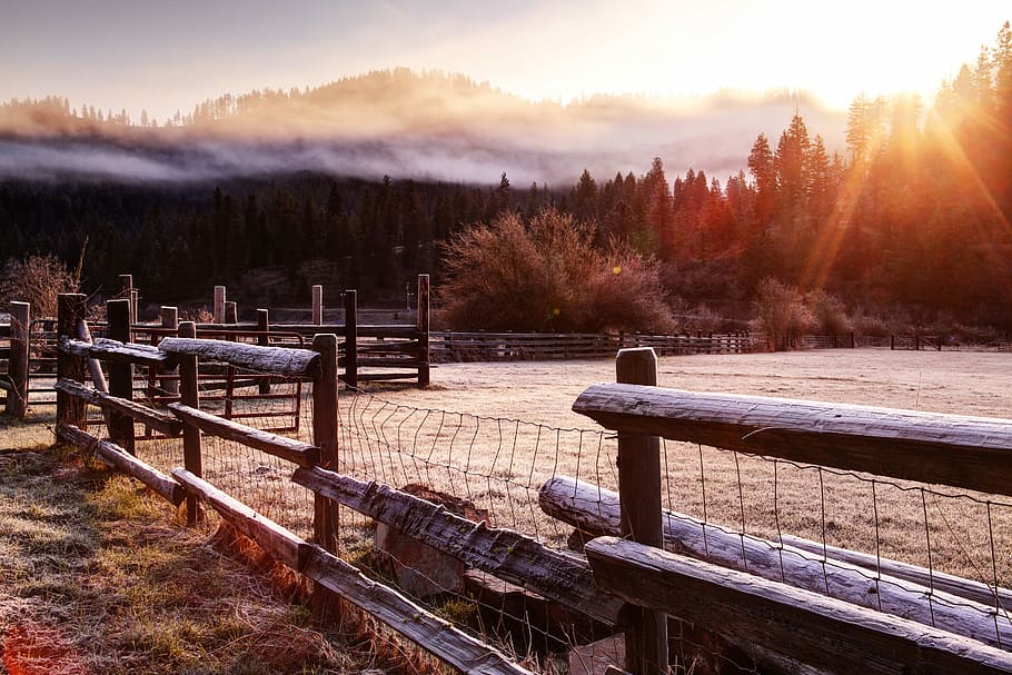 photo of brown wooden fence near forest during sunset, brown wooden fence HD wallpaper