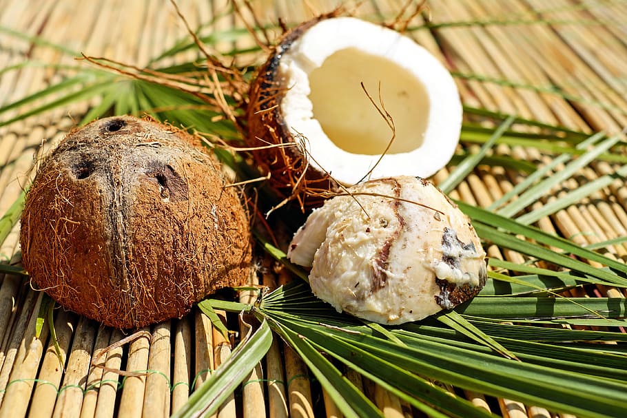 Coconut shell with leaves, brown, pulp, exotic, food, close-up HD wallpaper