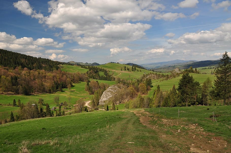 meadow, nature, view, landscape, green, mountains, pieniny HD wallpaper