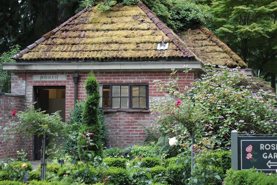 building, brick, roof, moss, old, rose, garden, portland, oregon, HD wallpaper