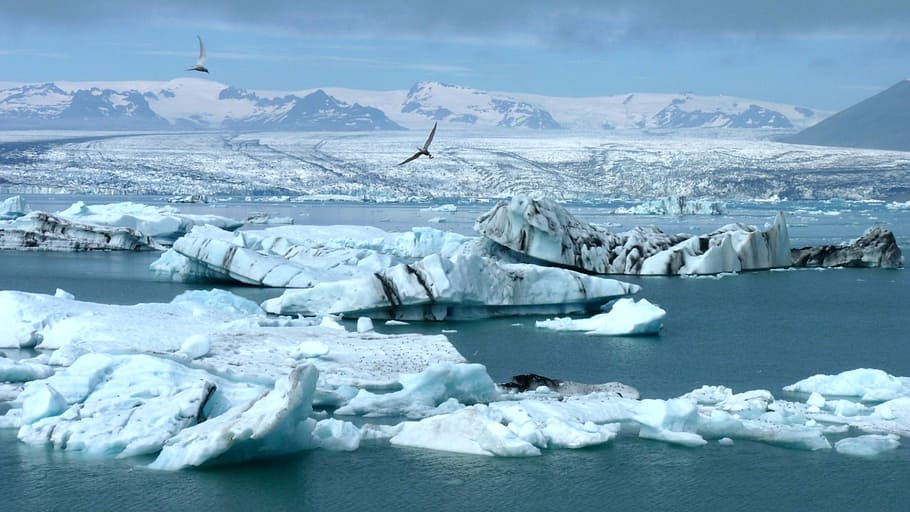 white ice berg at daytime, iceberg, iceland, glacier, arctic, HD wallpaper