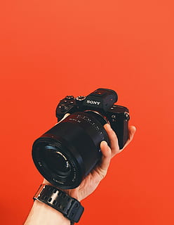 person holding black Sony Alpha DSLR camera, Sony DSLR camera on left hand HD wallpaper