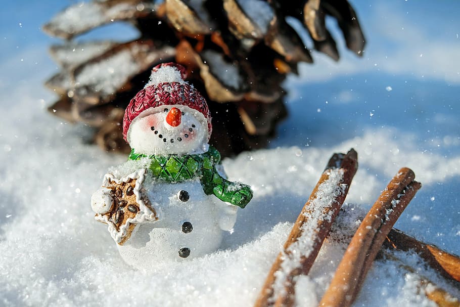 closeup photo of Snowman surrounded by snow, snow man, winter