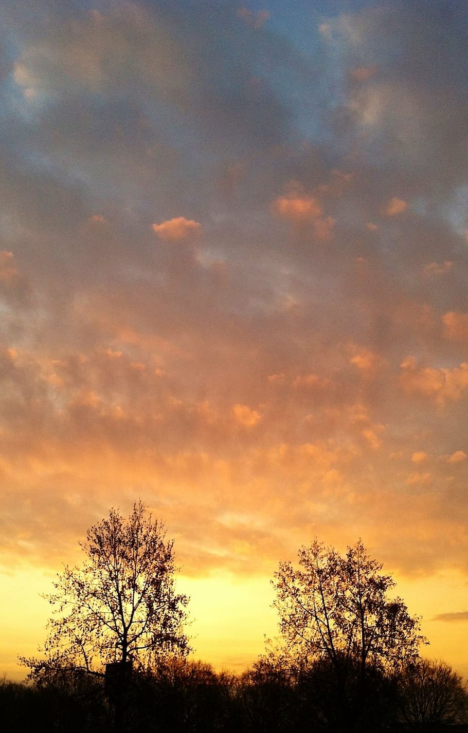 sunset, nature, trees, sky, cloud - sky, beauty in nature, scenics - nature HD wallpaper
