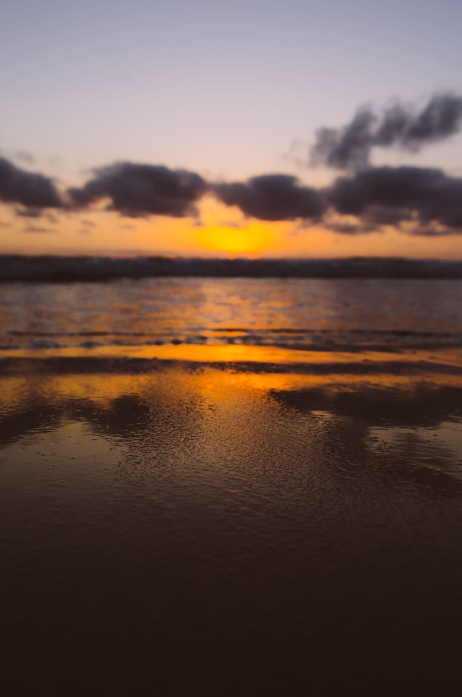brown seashore during sunset, beach during sunset, Burning, reflection HD wallpaper