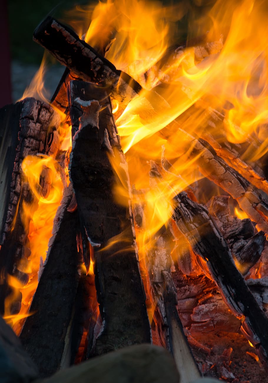 fire, campfire, wood, bonfire, flame, hot, heat, burn, blaze HD wallpaper