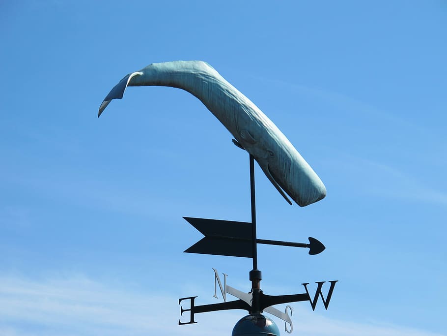Wind Direction Indicator, Wind, sky, whale, north, south, east HD wallpaper