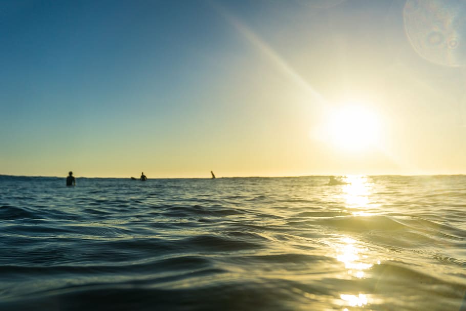 body of water and sunlight, thee, person, sea, golden, hour HD wallpaper