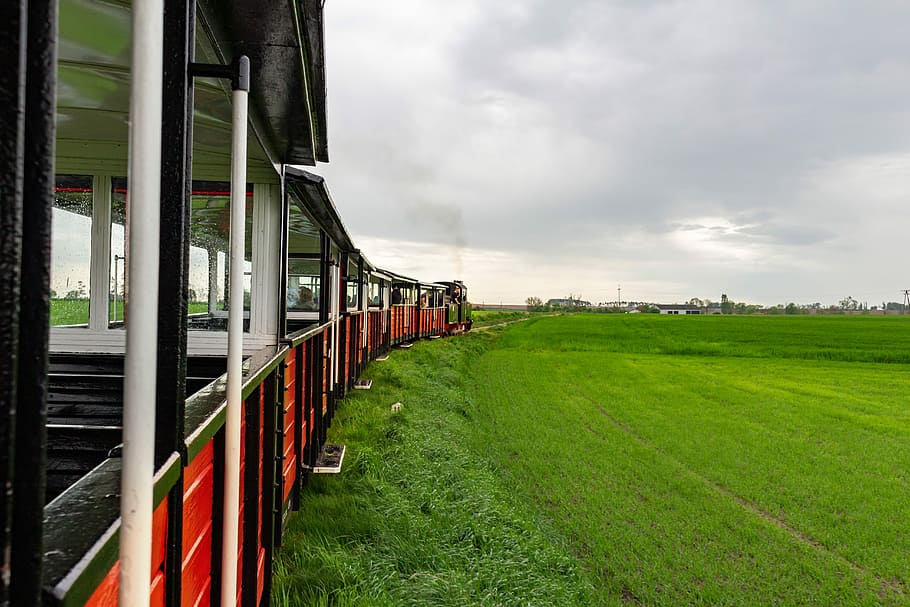 picnic, tour, the queue, nature, spring, meadow, wet, at the court of HD wallpaper