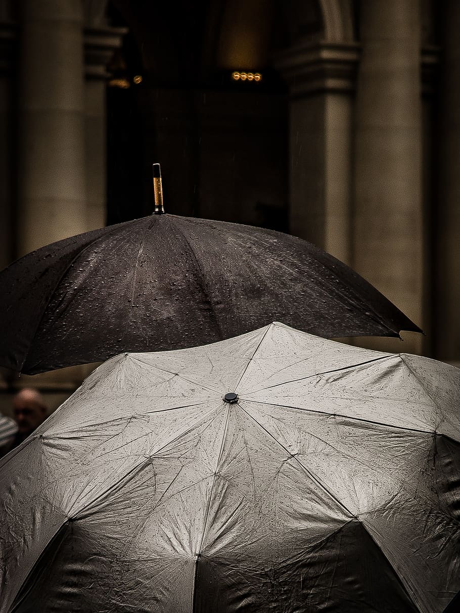 black, umbrella, water, drops, raining, focus on foreground HD wallpaper