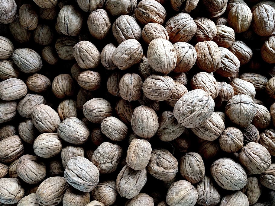 bunch of wallnut, walnuts, food, healthy, seed, natural, nutrition HD wallpaper
