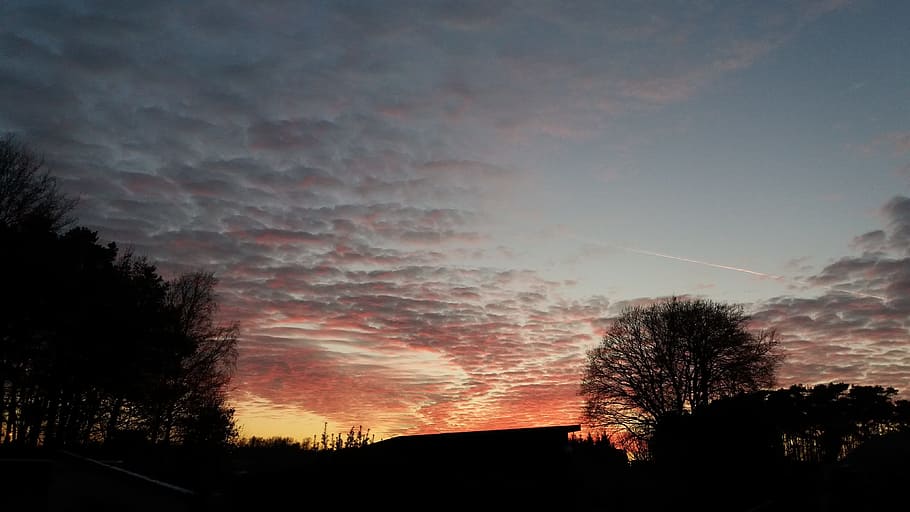 air, clouds, colorful sunset, tree, cloud - sky, plant, silhouette HD wallpaper