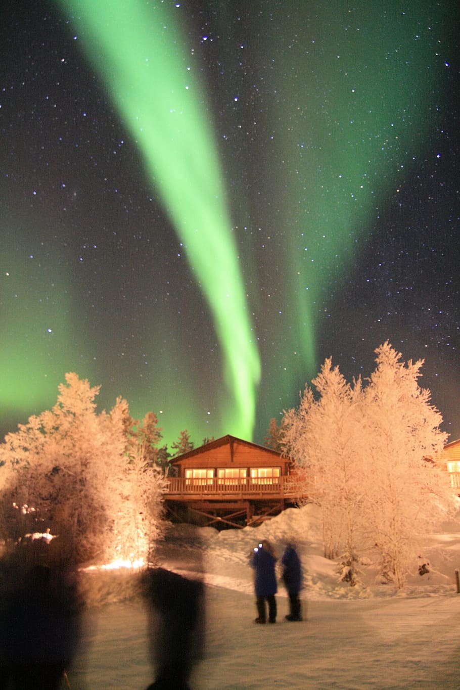 aurora, night, natural, beauty in nature, illuminated, sky HD wallpaper