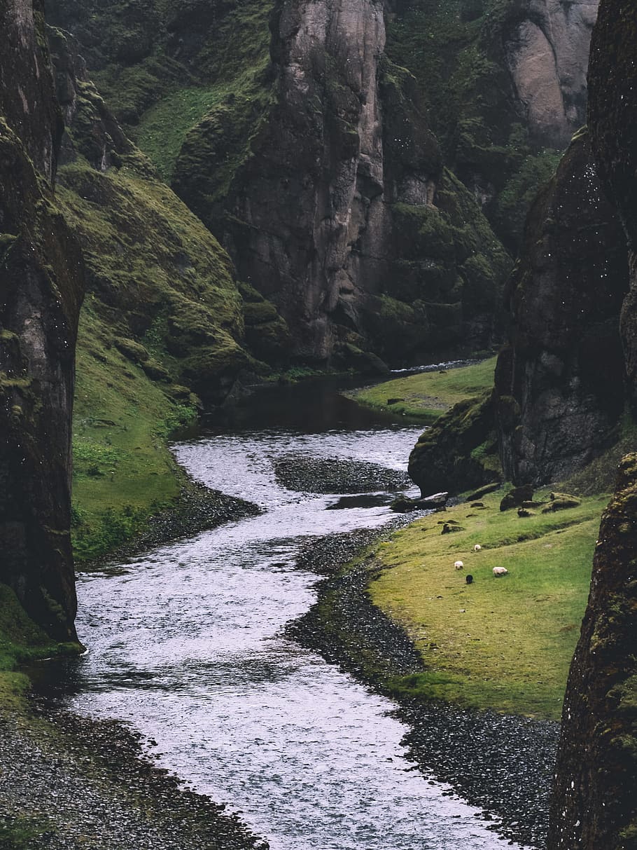 photo of stream, river between rock mountain with green leaf tree during daytime, HD wallpaper