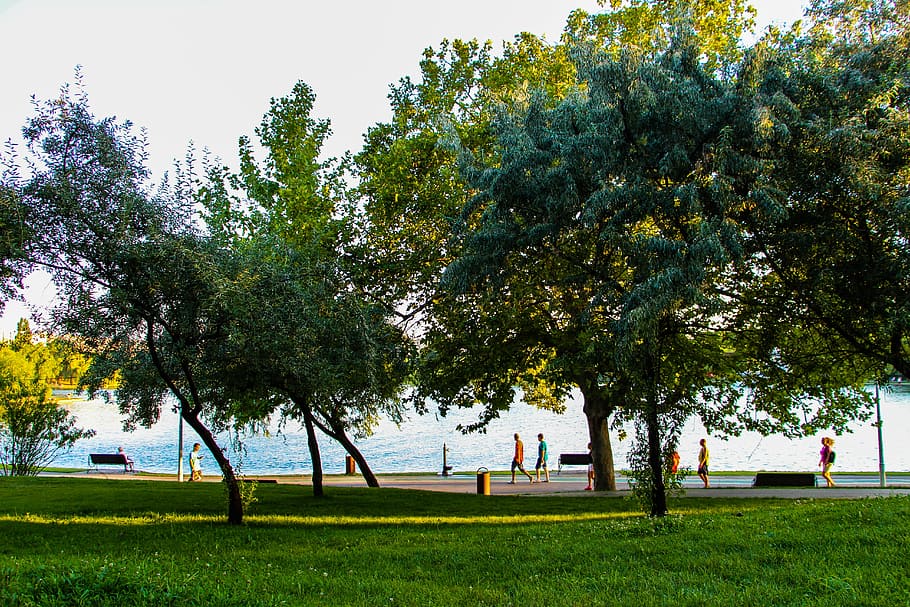 landscape, walk, nature, blue, green, park, people, plant, tree HD wallpaper