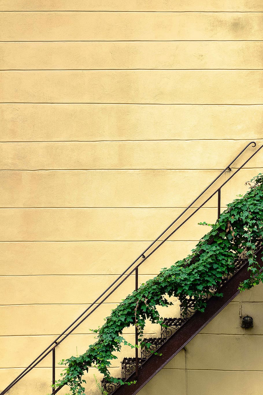 green grass on black steel stair, black metal stair on brown wall HD wallpaper