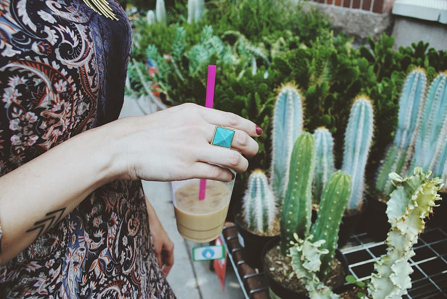 person holding glassware with liquid and straw, coffee, cactus HD wallpaper