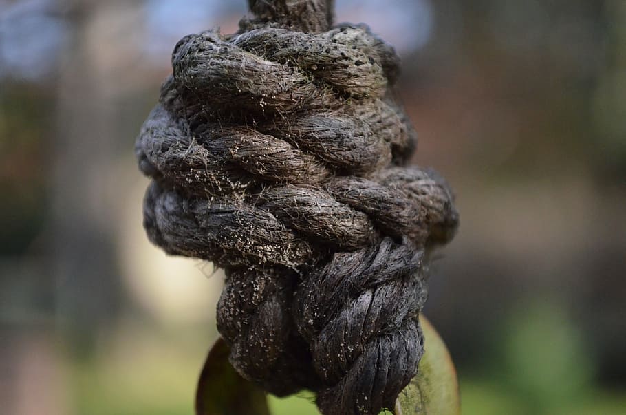 knot, cordage, fixing, focus on foreground, close-up, day, no people HD wallpaper