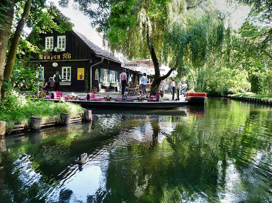 spreewald, river, rowing, port, water, lehde, tree, plant, nautical vessel HD wallpaper
