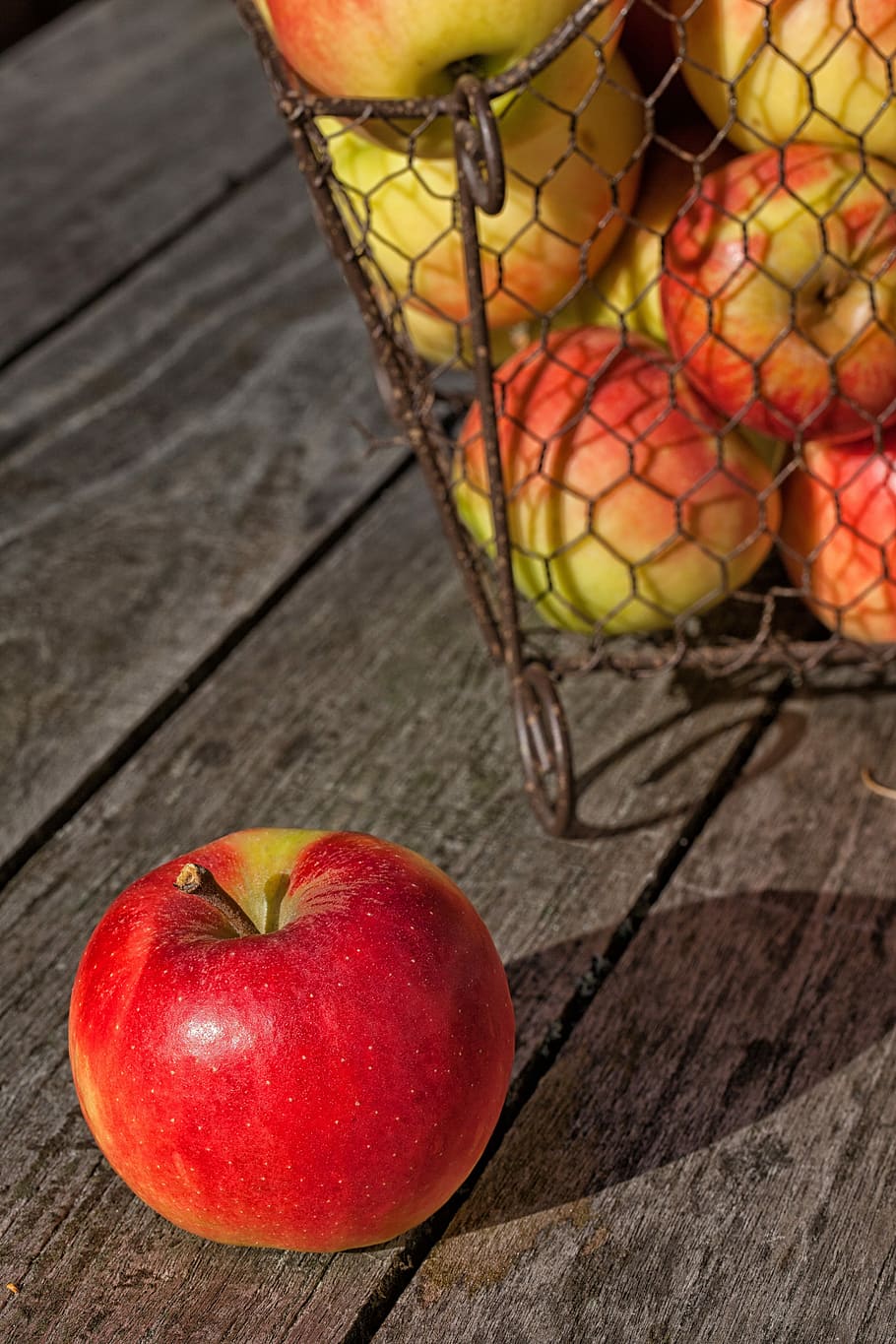 apple, harvest, fruit, red, apfelernte, summer, autumn, healthy, HD wallpaper