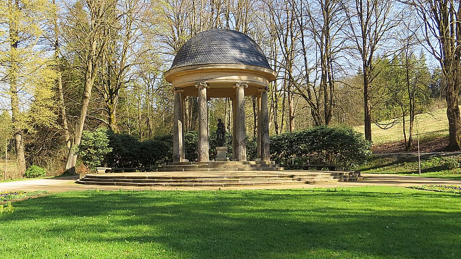 tree, rush, park, grass, plant, architecture, nature, day, built structure HD wallpaper
