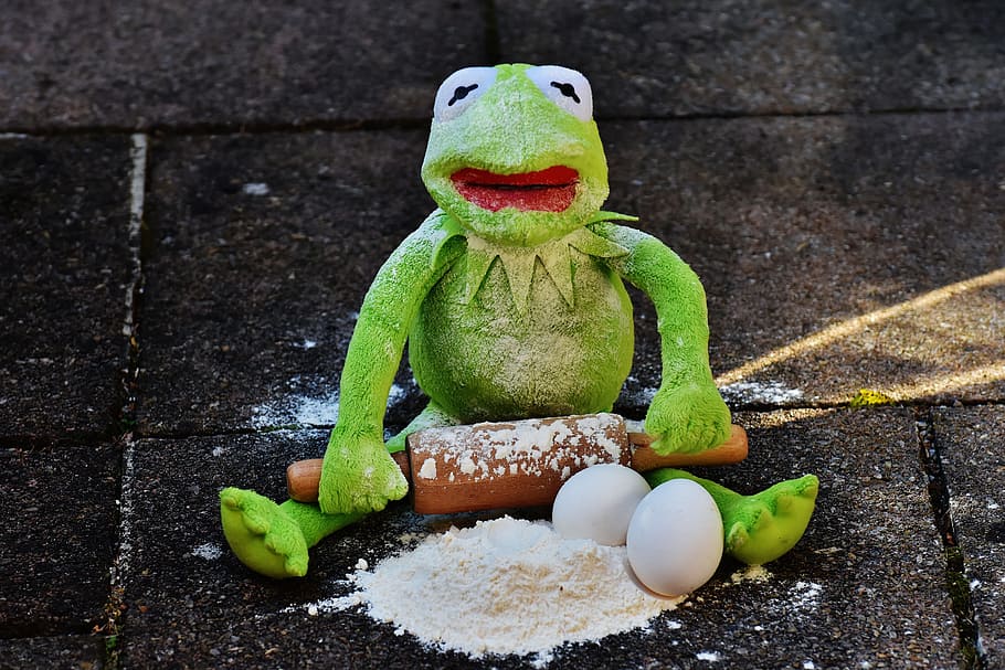 kermit, bake, rolling pin, egg, flour, ingredients, prepare HD wallpaper