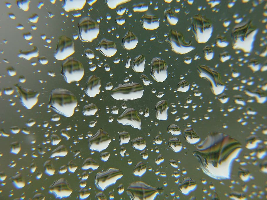 rain, drops, glass, window, rain drops, water, wet, liquid HD wallpaper