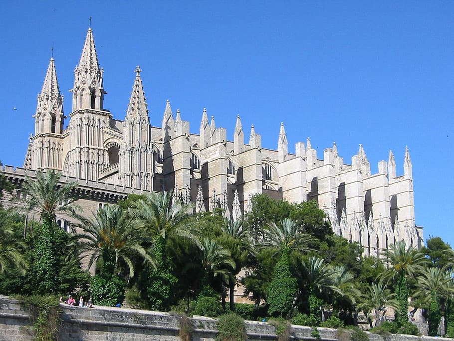 Cathedral, Mallorca, palm tree, travel destinations, history HD wallpaper