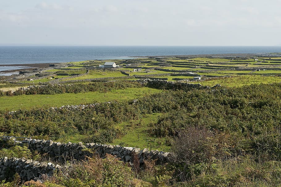 stone wall, aran islands, beach, sky, water, scenics - nature HD wallpaper