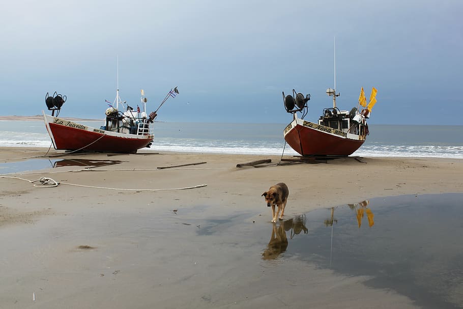 beach, boats, costa, nautical vessel, water, sea, transportation HD wallpaper
