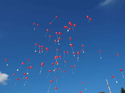 red heart balloons flying on sky, wedding, congratulations HD wallpaper