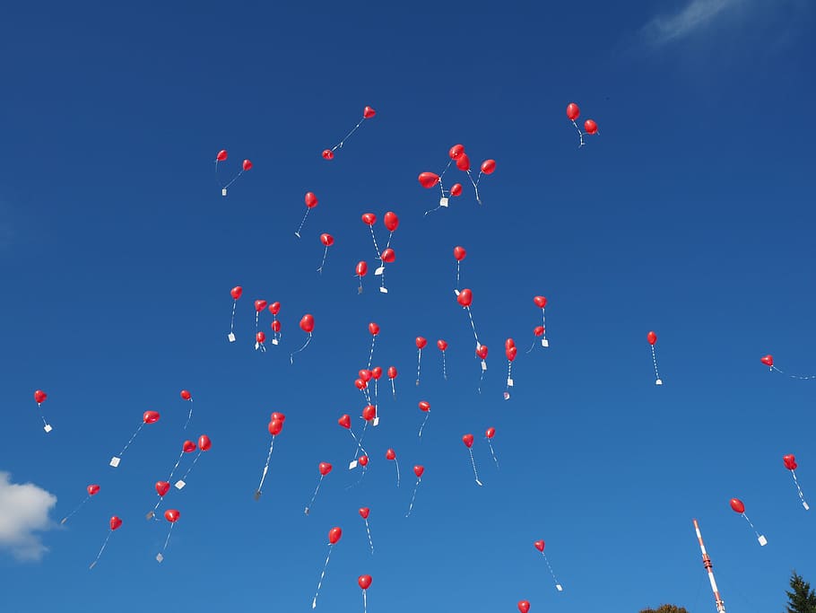 red heart balloons flying on sky, wedding, congratulations HD wallpaper
