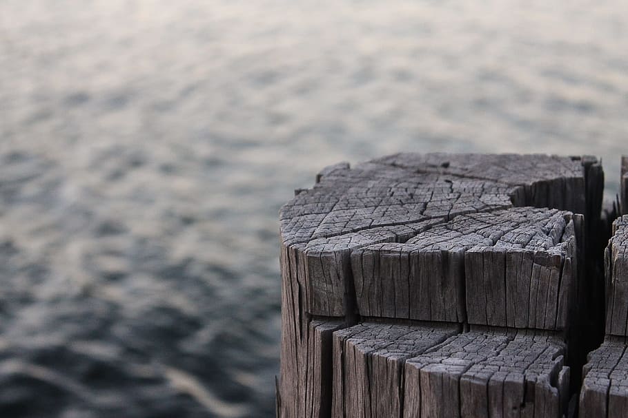 wood, sea, water, ocean, harbor, lake, macro, pier, wooden, wood - material HD wallpaper