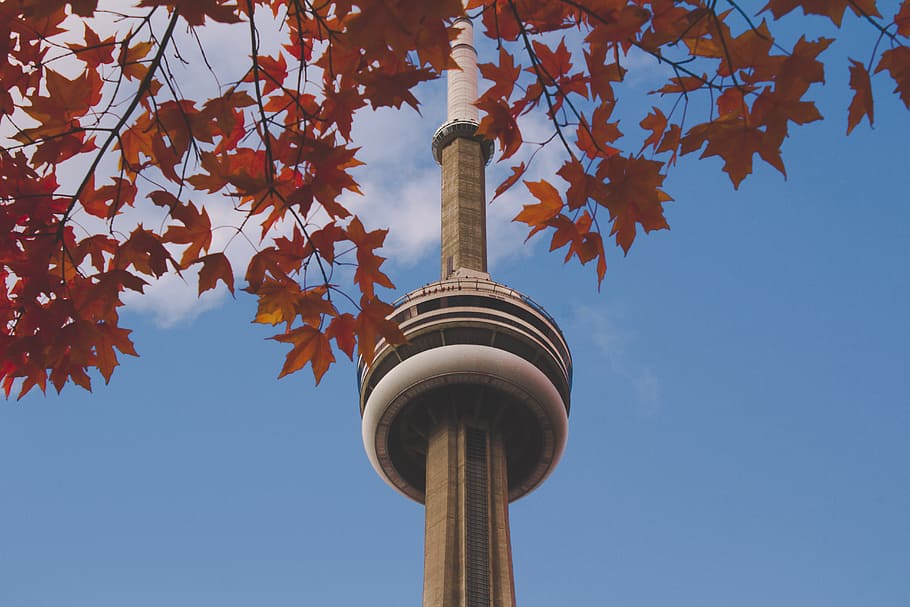 brown and white concrete tower, shallow focus photography of brown concrete tower HD wallpaper