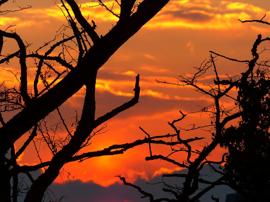 sunset, sky, shining, burn, glow, silhouette, backlighting HD wallpaper
