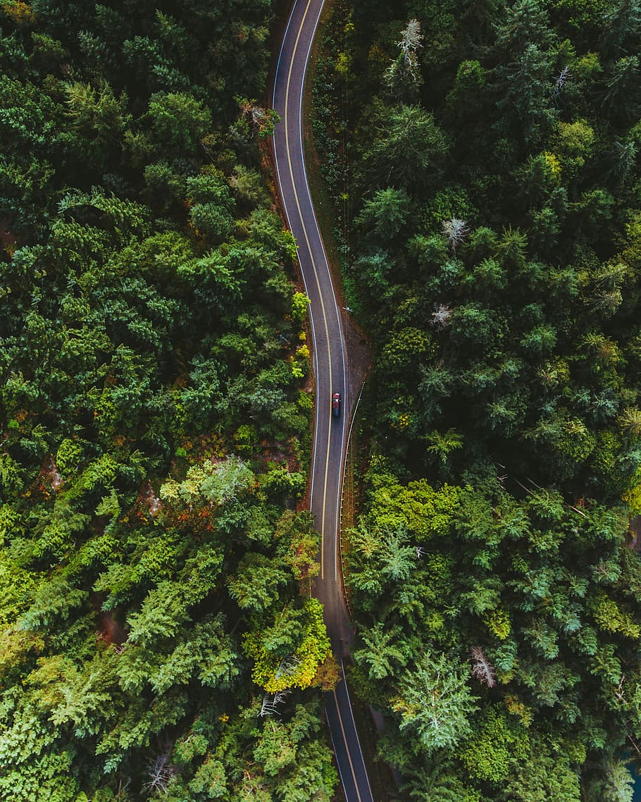 bird's eye view of car on road, aerial photography of vehicle riding on concrete roadway in the middle of trees HD wallpaper