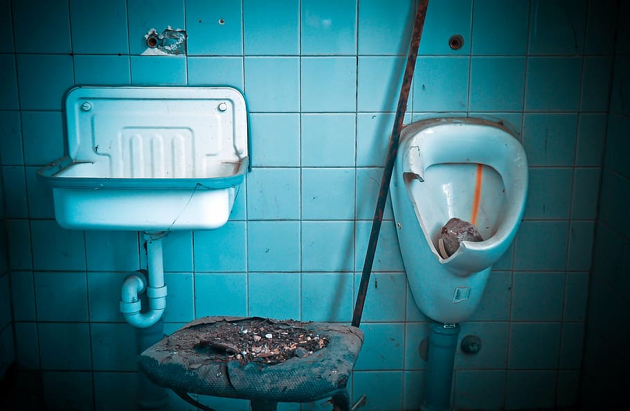 photo of bowl sink and men's toilet bowl, lost places, factory