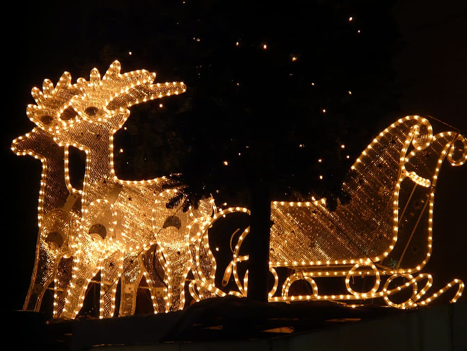 yellow lighted sleigh decor, Christmas, Reindeer, Moose, lichterkette, HD wallpaper