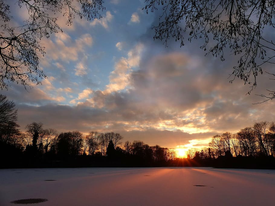 sunset, snow cover, lake, wintry, tree, sky, cloud - sky, plant HD wallpaper