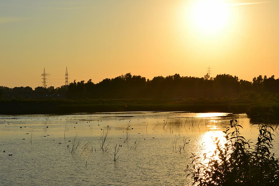 river, nature, tree, forest, green, sunny day, landscape architects HD wallpaper