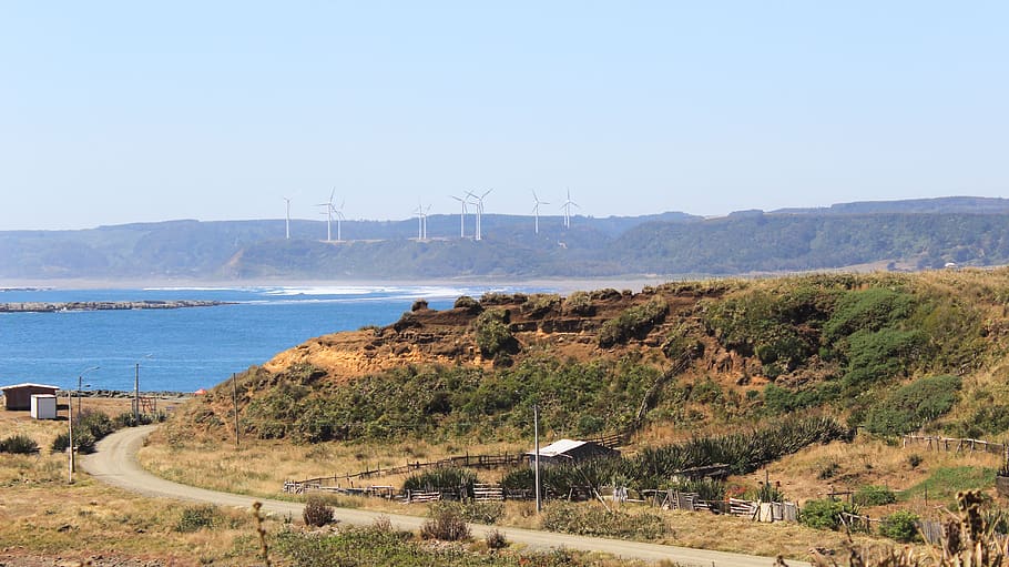 wind, energy, forest, beach, power, environment, electricity HD wallpaper
