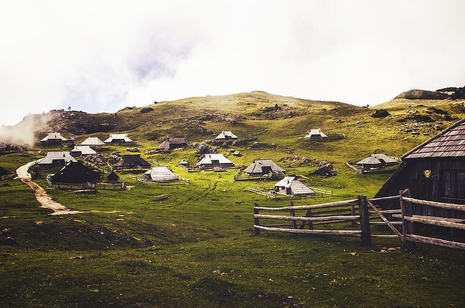 stables, huts, fences, grass, rural, architecture, built structure HD wallpaper