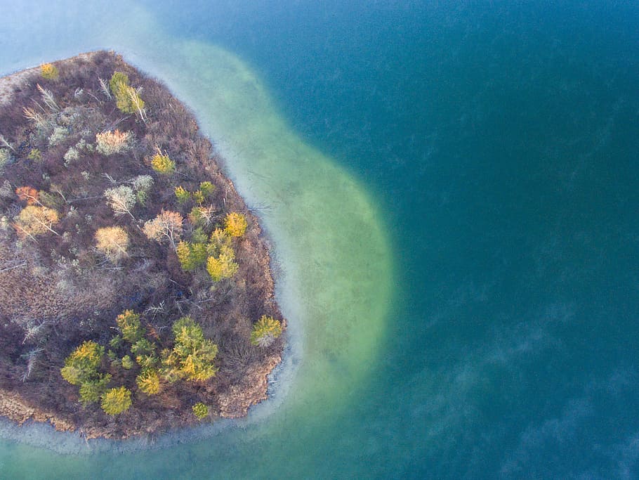 aerial photography of islet, tree, plant, nature, fall, autumn HD wallpaper