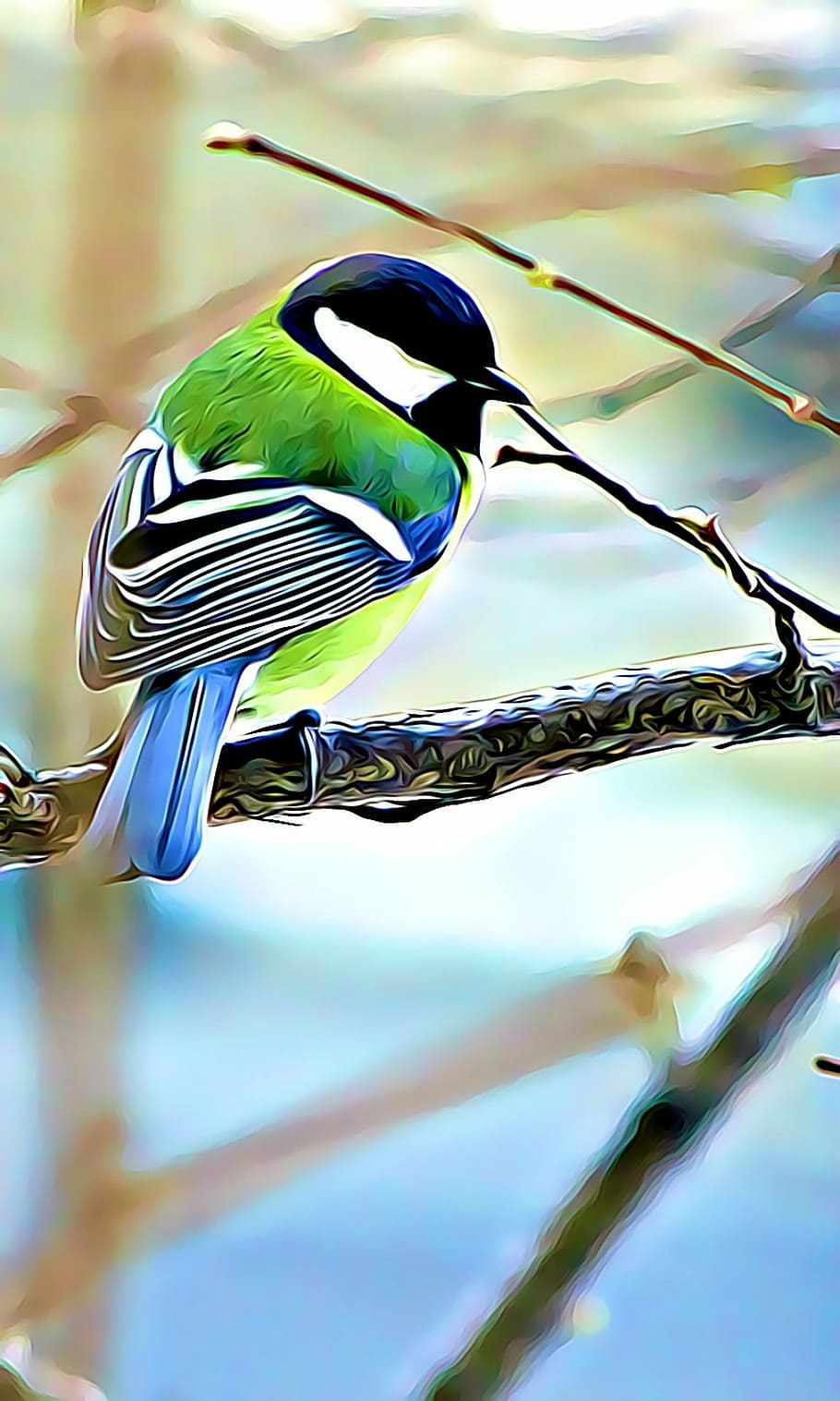 white, green, and black bird on tree branch painting, digital HD wallpaper