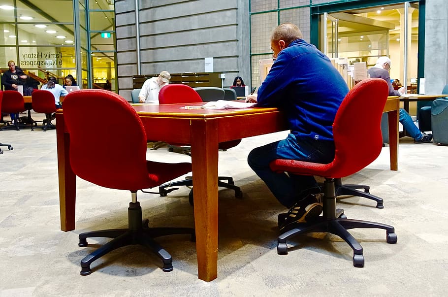 Library, sitting, researching, reading, education, learning HD wallpaper