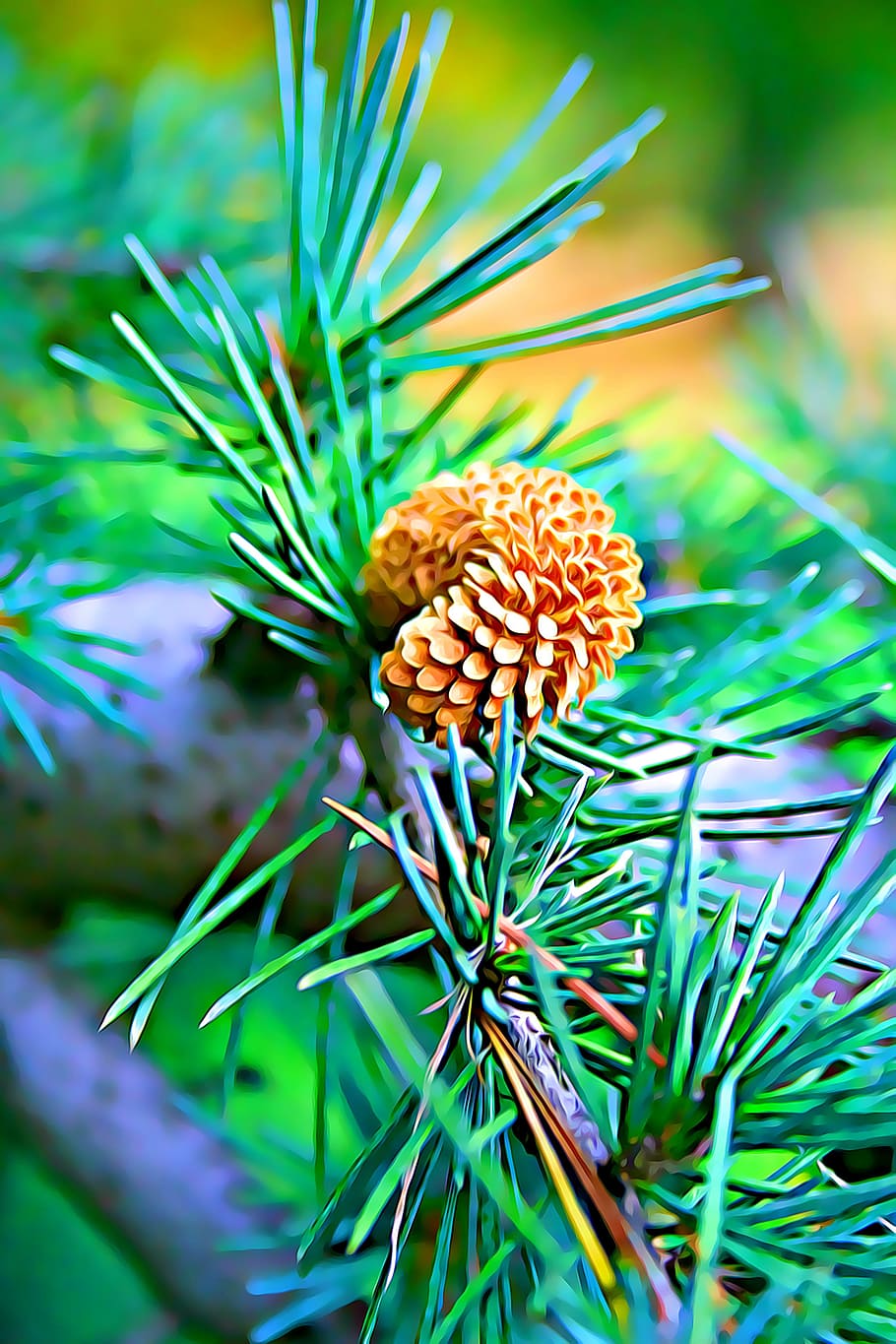 digital, graphics, pine, cone, green, branch, mood, bough, colors HD wallpaper