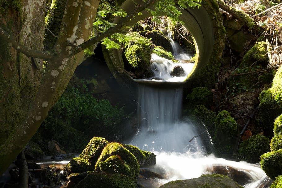 landscape photography of flowing water on tunnel in forest HD wallpaper