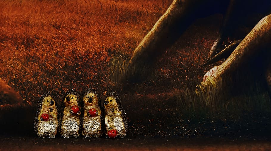 Hedgehog, Figures, Cute, Forest, Mood, decoration, funny, no people HD wallpaper