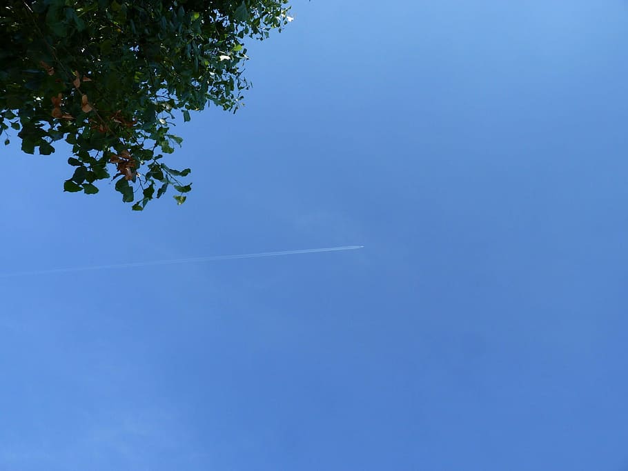 aircraft, fly, clouds, sky, weather, summer, wanderlust, flower HD wallpaper