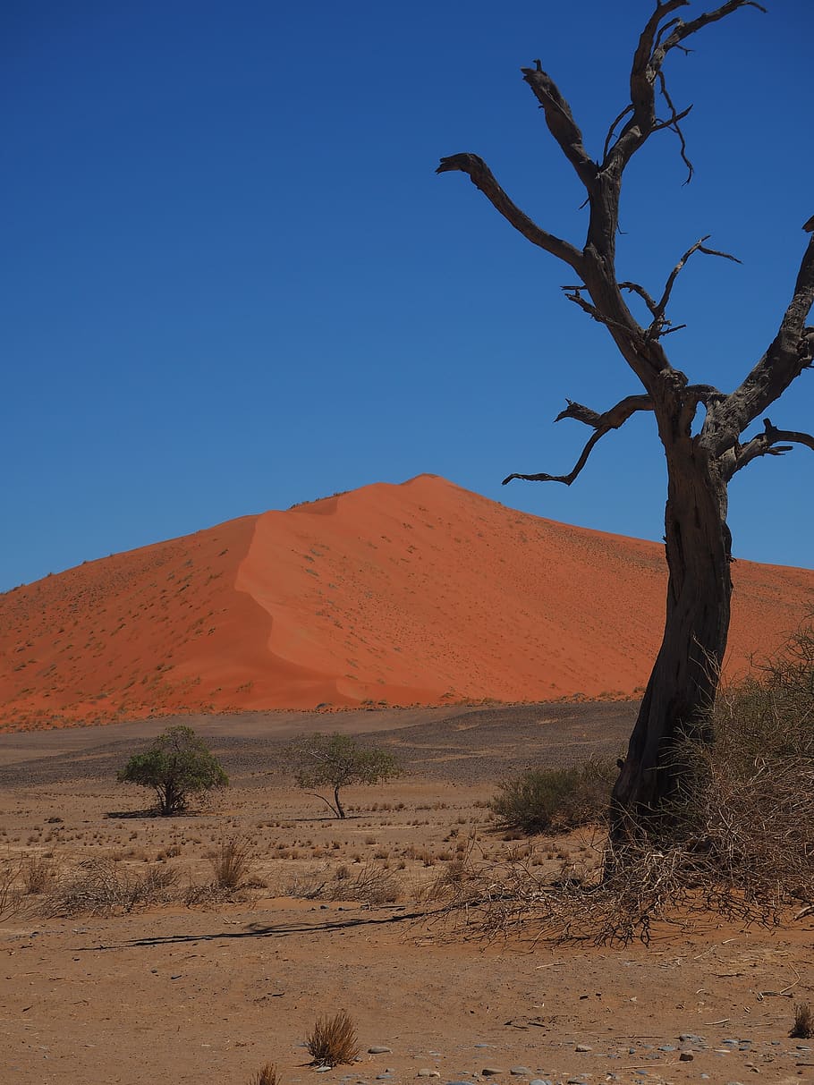 namibia, roter sand, loneliness, desert, landscape, sky, scenics - nature HD wallpaper